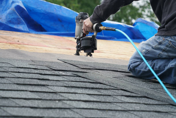 Best Metal Roofing Contractor  in Ciborne, LA