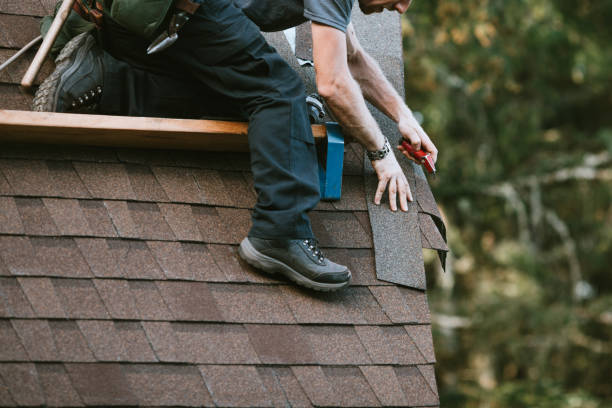 Best Roof Gutter Cleaning  in Ciborne, LA